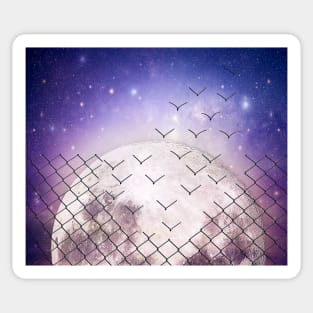 Astral birds escape Sticker